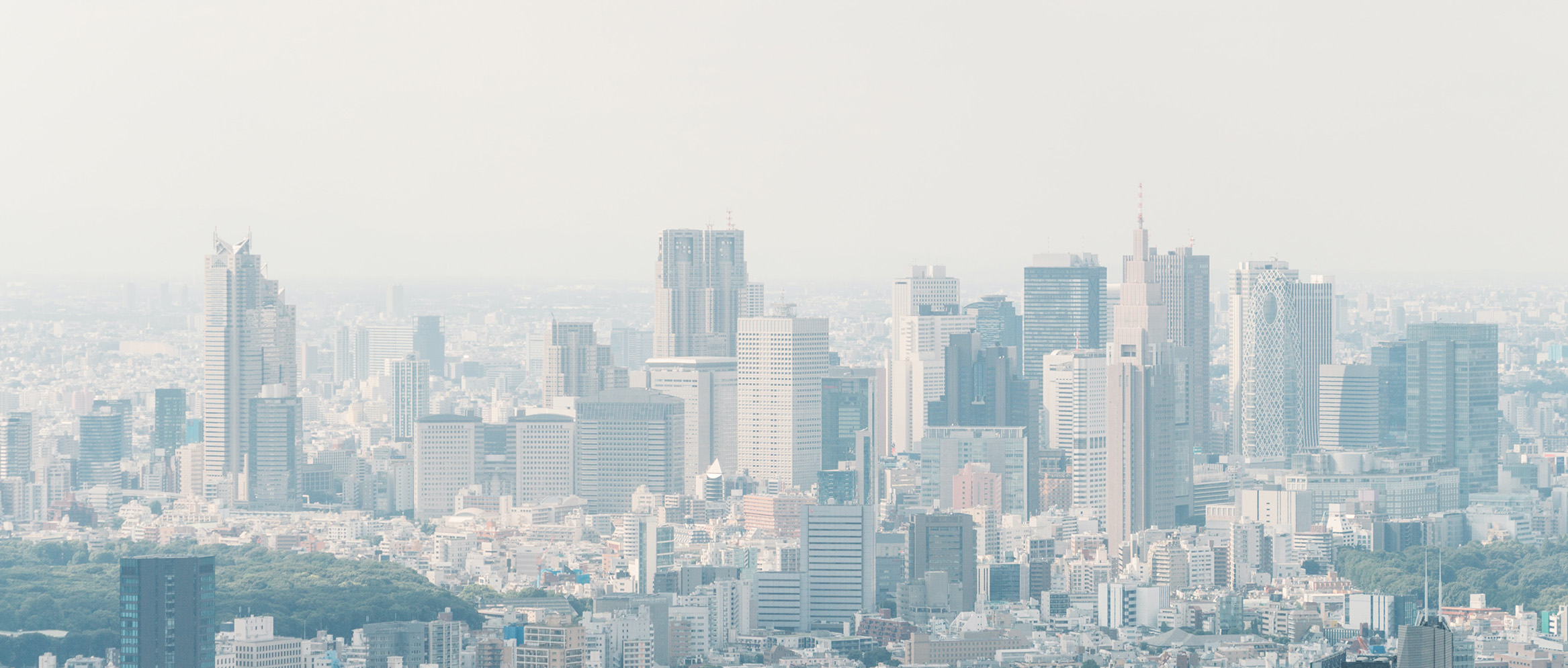 Niessing Architecture