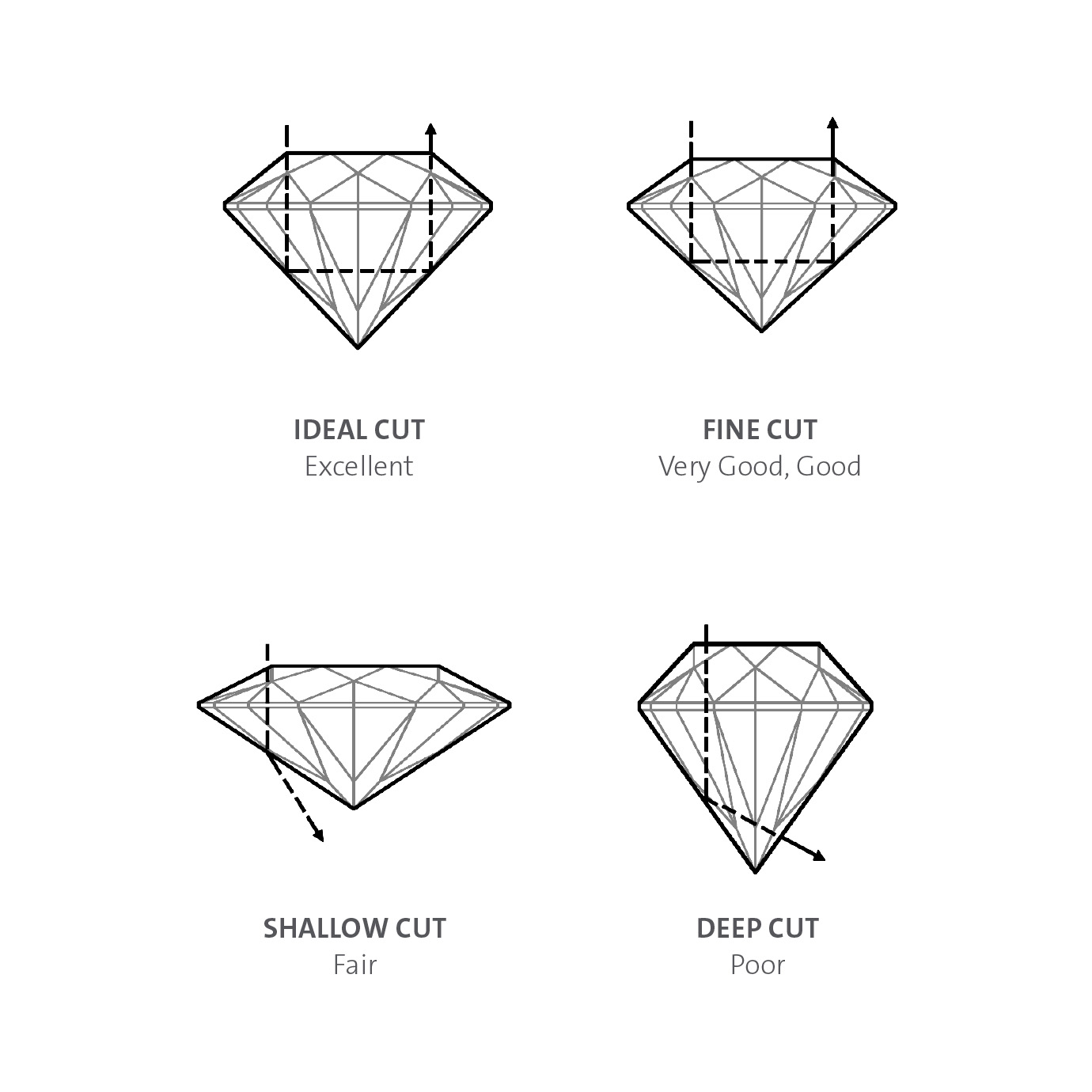 02. CUT