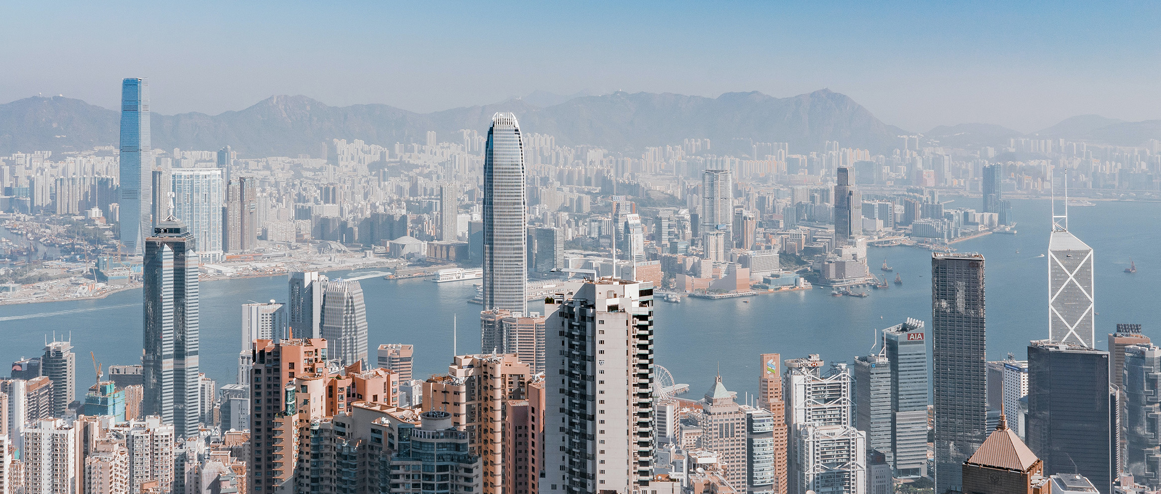 Niessing Architecture